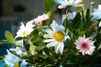 /album/a15-anos/dsc-3570-copia-copia-copia-copia-copia-jpg/